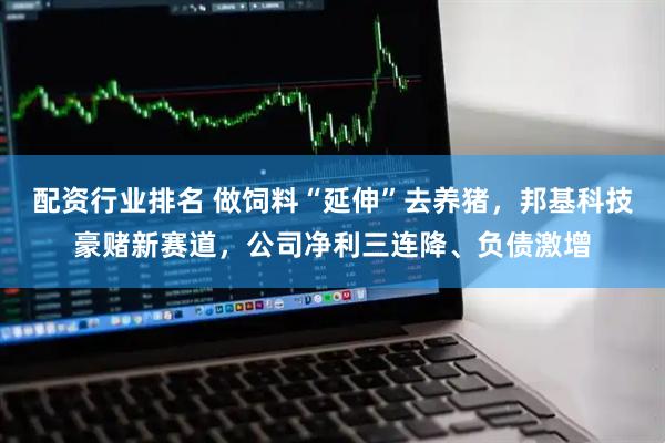配资行业排名 做饲料“延伸”去养猪，邦基科技豪赌新赛道，公司净利三连降、负债激增