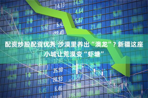 配资炒股配资优秀 沙漠里养出“澳龙”? 新疆这座小城让荒漠变“虾塘”