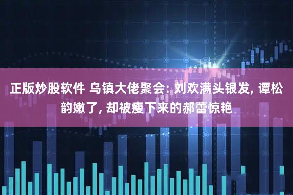 正版炒股软件 乌镇大佬聚会: 刘欢满头银发, 谭松韵嫩了, 却被瘦下来的郝蕾惊艳